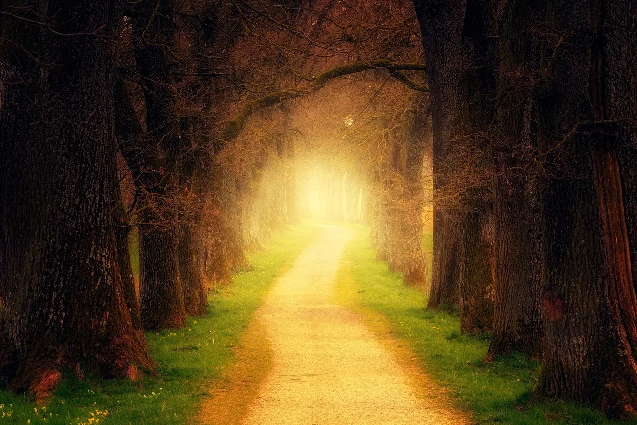 HSP meditatie – realm of light